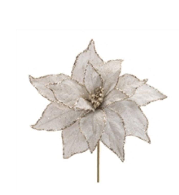 Poinsettia Stem