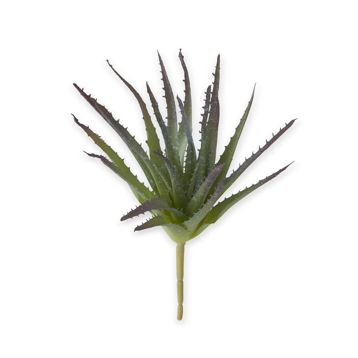 Real Touch Aloe Pick - Light Green with Purple Tips