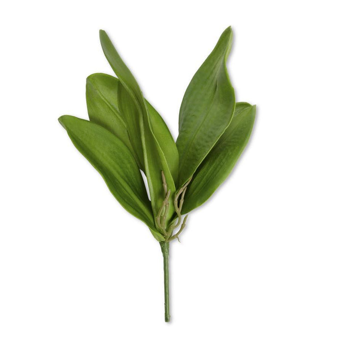 Real Touch Orchid Leaves