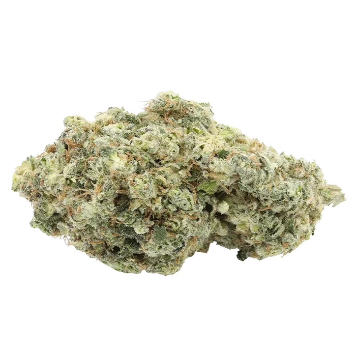 Close-up front view of the frosty green and amber bud of "Ruby Haze" against a clean white background.