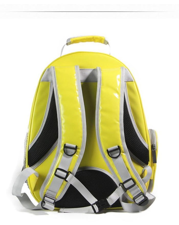 See Through Pet Travel Backpack