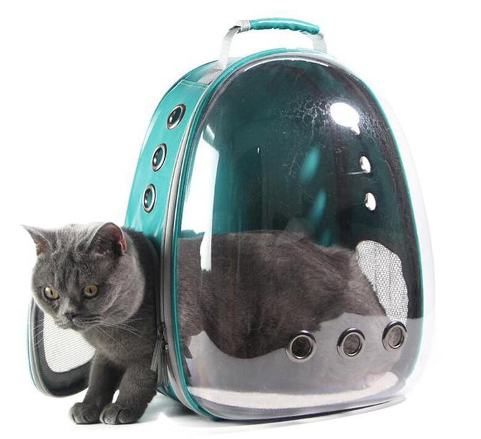 See Through Pet Travel Backpack