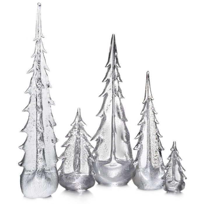 Silver Leaf Evergreen