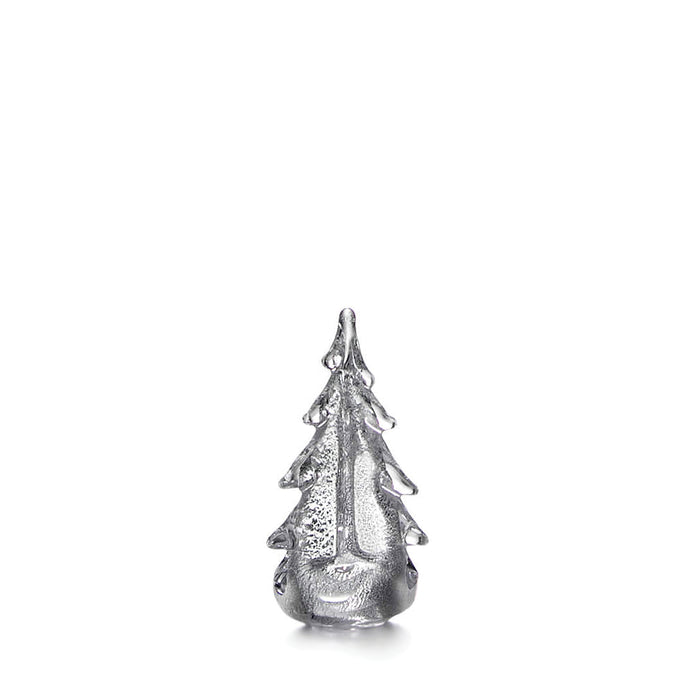 Silver Leaf Evergreen