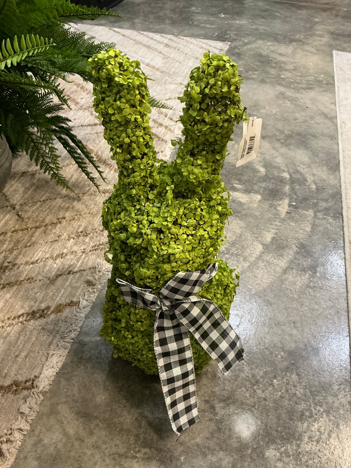 SPGR 18" BABY TEARS VINE BUNNY