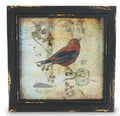 Square Framed Bird Print