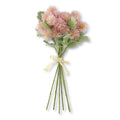 Sycamore Fruit Ball Bundle - Pink