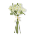 Sycamore Fruit Ball Bundle - White