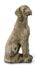 Weathered Stone Dog