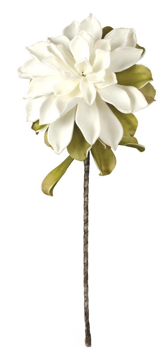 White Bloom Stem