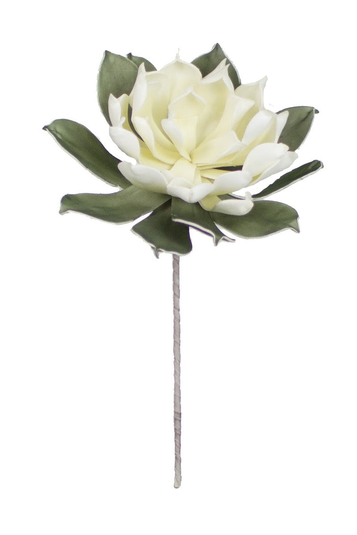 White Flower