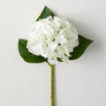 WHITE HYDRANGEA SPRAY