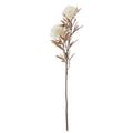 White Spikey Cactus Dahlia Stem